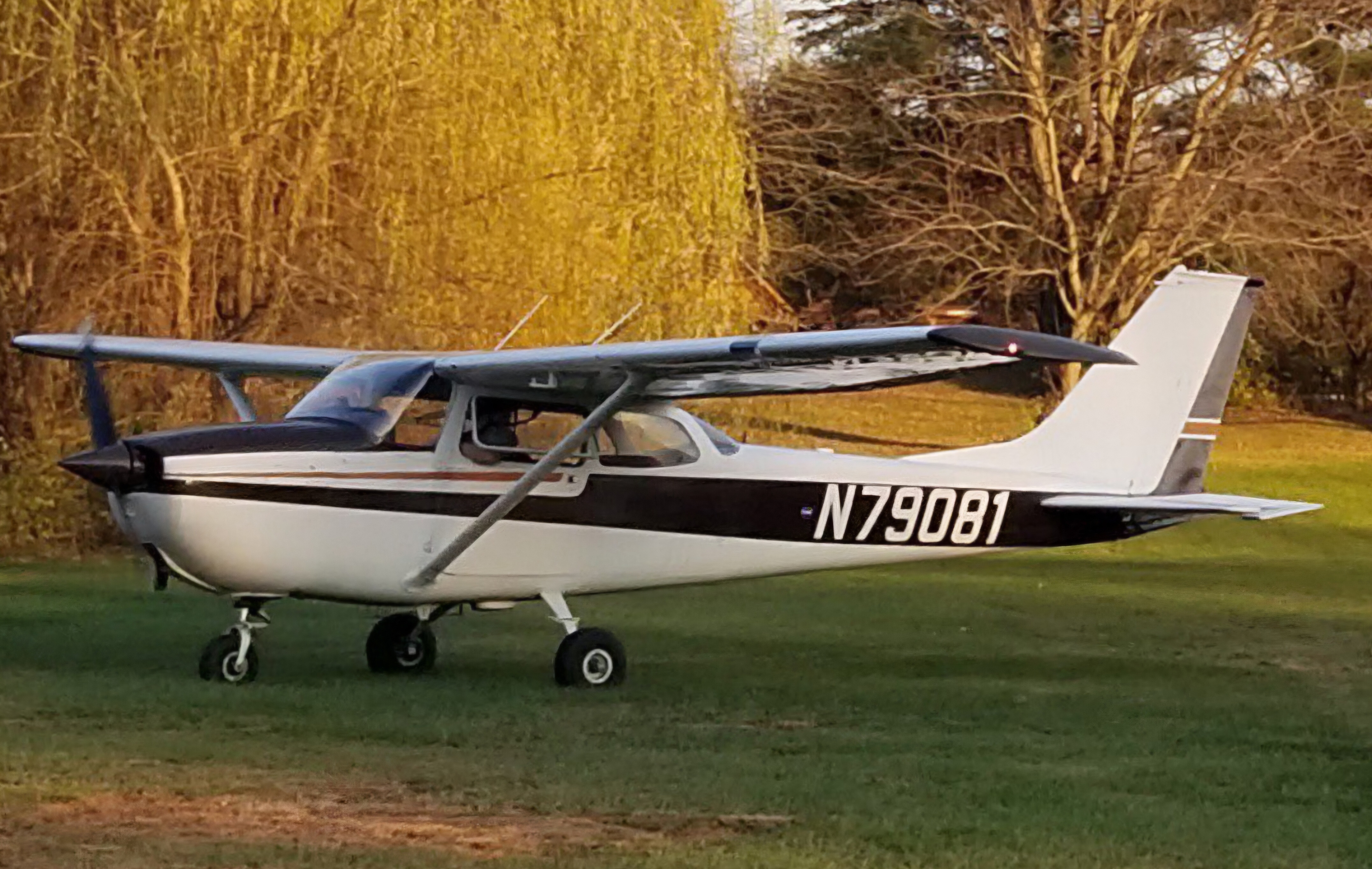 Cessna Skyhawk N79081 on the grass at Round Lake Airport