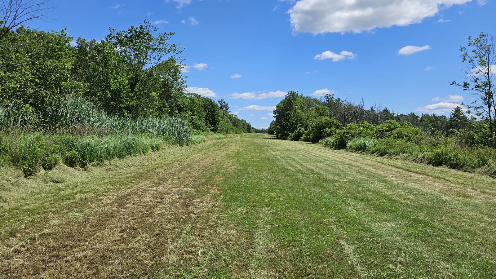 Looking down the turf runway at Round Lake Airport (W57)